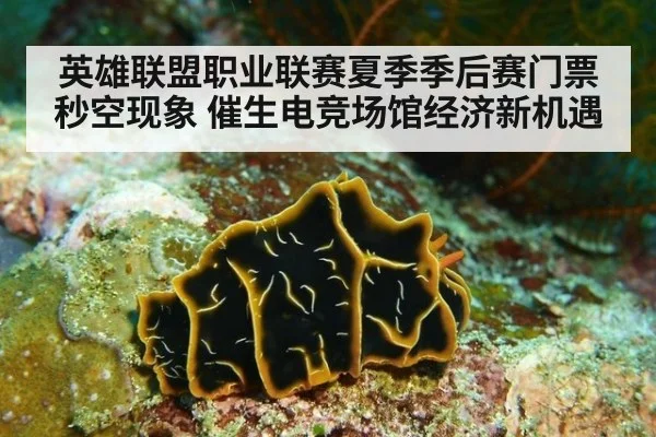 英雄联盟职业联赛夏季季后赛门票秒空现象 催生电竞场馆经济新机遇