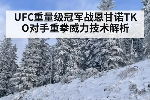 UFC重量级冠军战恩甘诺TKO对手重拳威力技术解析
