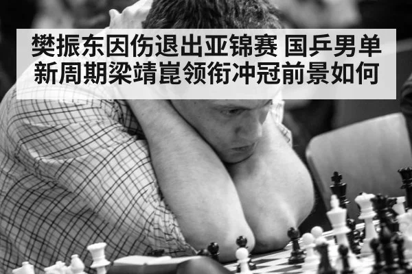 樊振东因伤退出亚锦赛 国乒男单新周期梁靖崑领衔冲冠前景如何